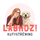 Lábhoz Kutyatréning